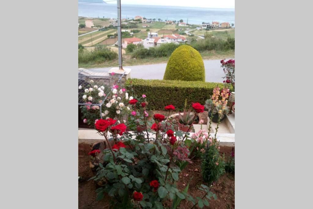 Villa Roses-Mourteri Exterior foto